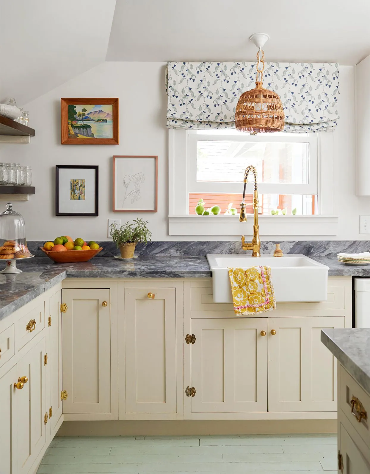 13537 small kitchen plants