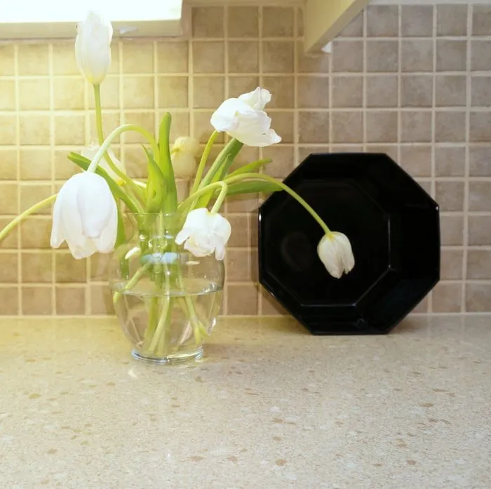 /img/13546-western-kitchen-1980s-7.webp