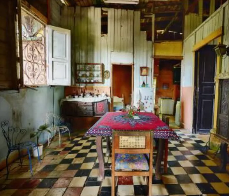 13555 cuban kitchen greenery