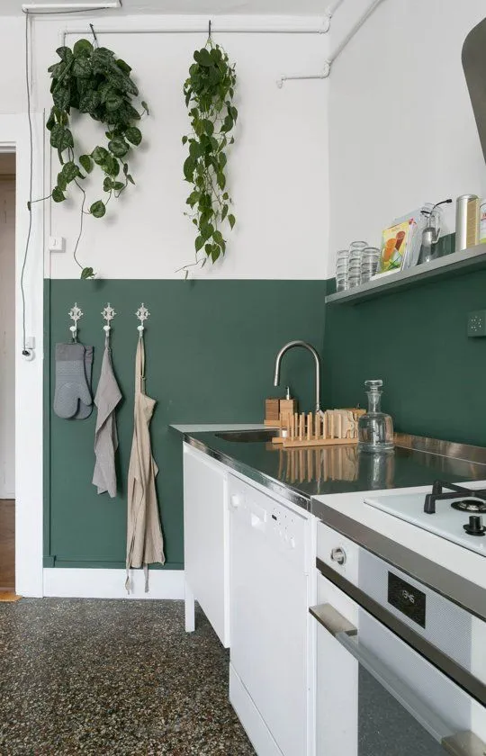 13556 green wall kitchen 5