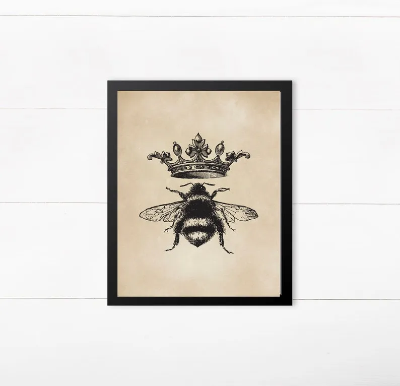 13558 french bee cabinetry