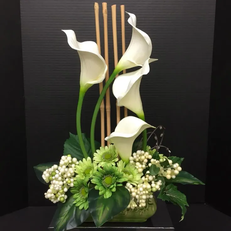 /img/13626-calla-lily-care.webp