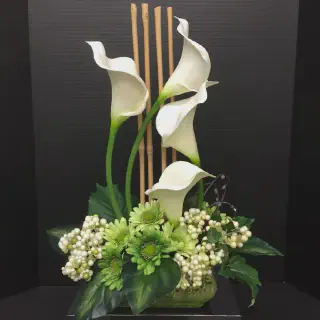 /img/13626-calla-lily-care.webp