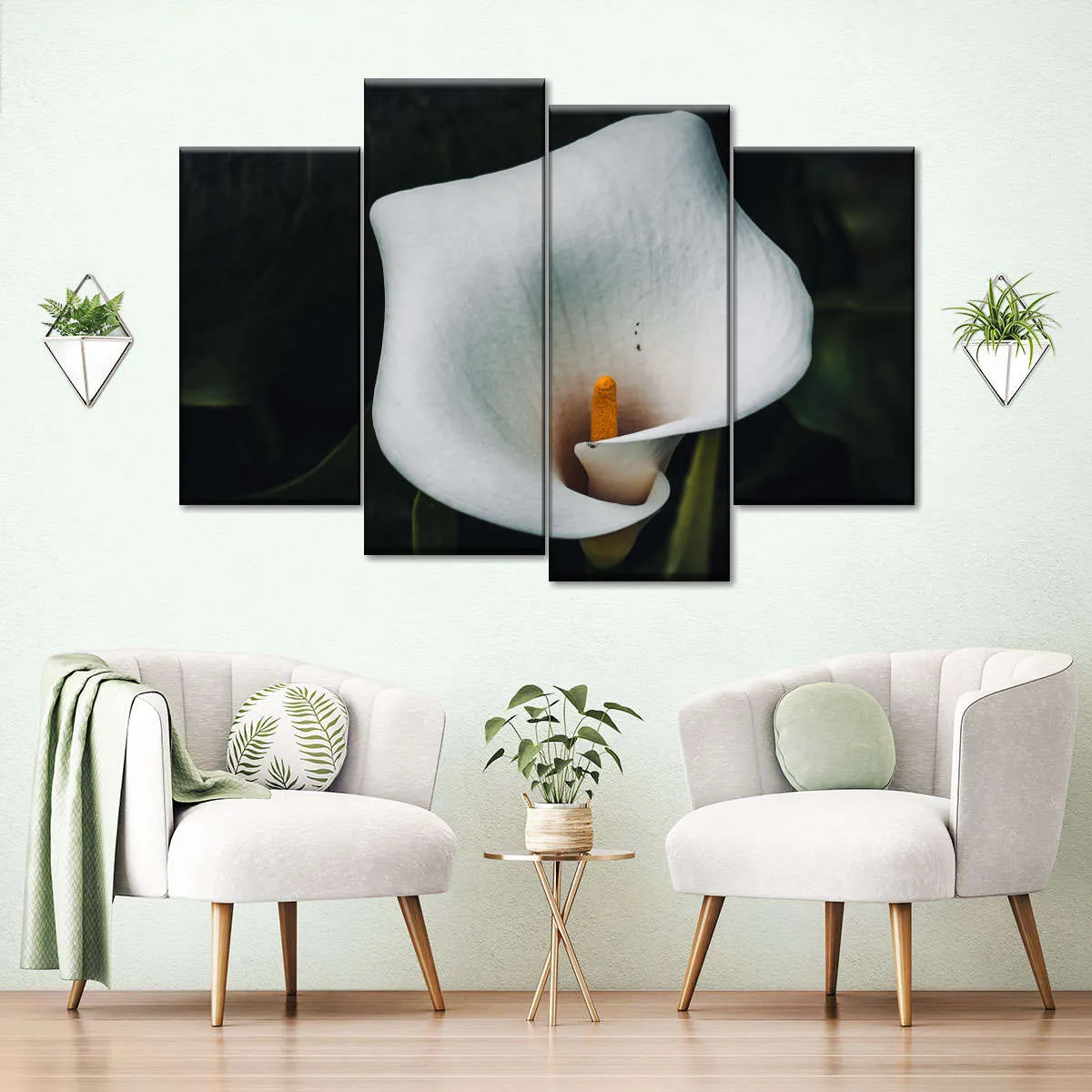 13626 calla lily dried