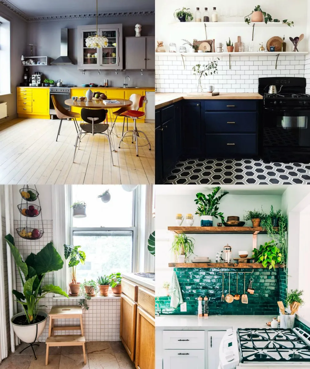 13638 vibrant wall colors