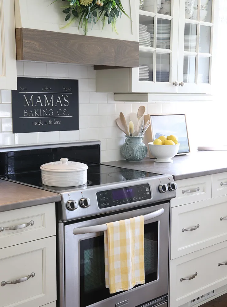 13648 lemon accessories kitchen