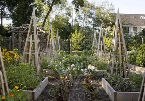 13668 rustic kitchen garden intro