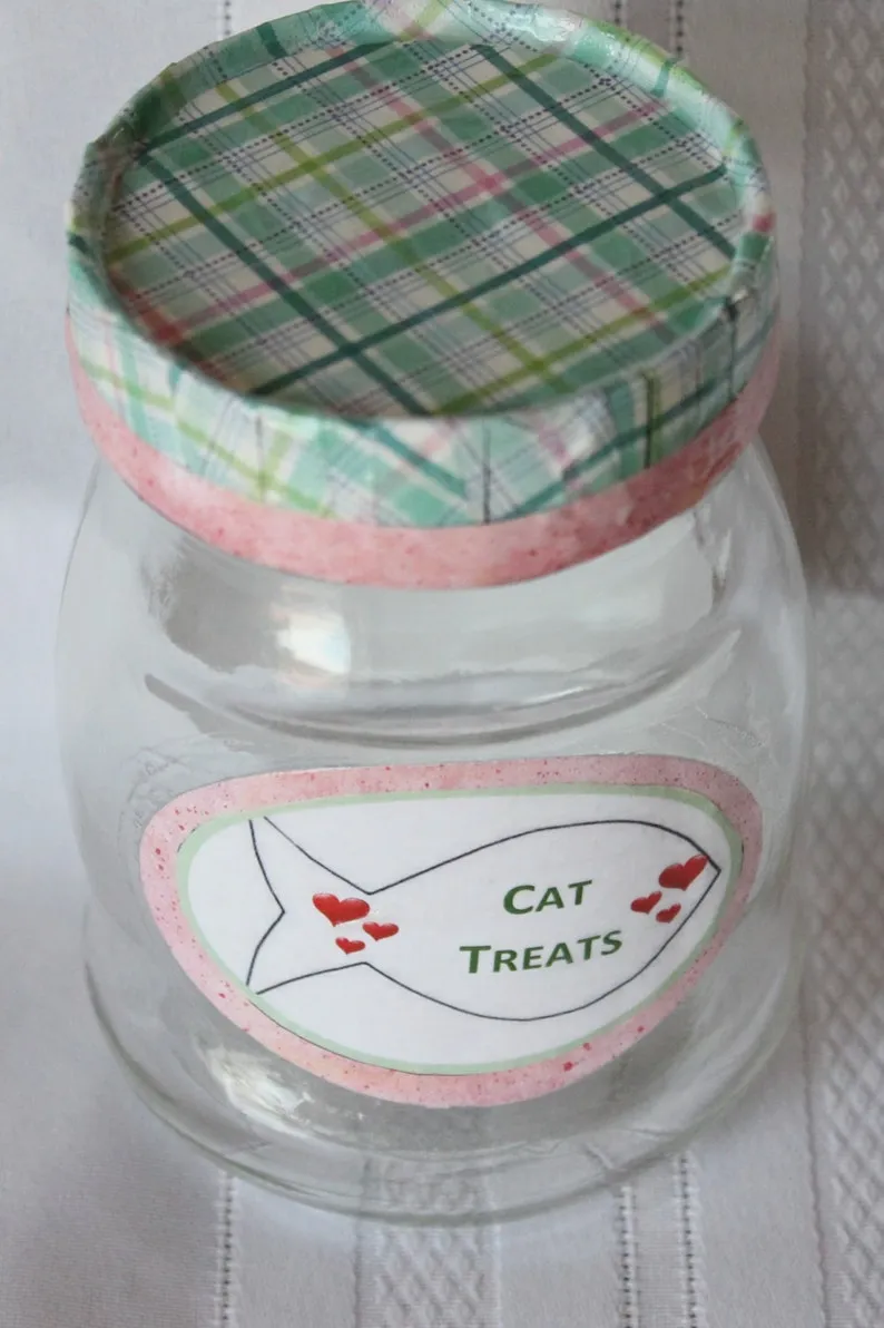 13722 minimalist cat treats jar