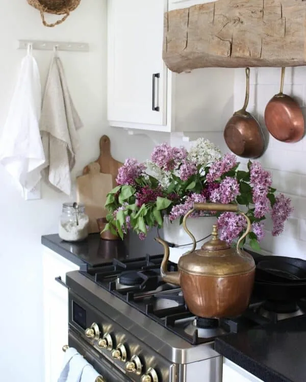 13729 copper lighting