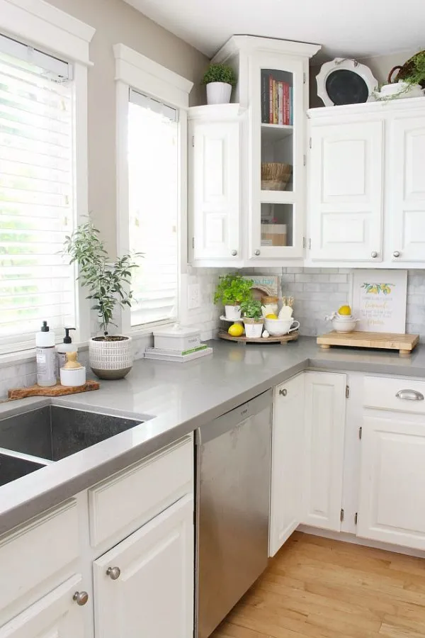 13776 summer kitchen herbs and plants